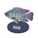 Tilapia Model Animal Crossing New Horizons | ACNH Critter - ACNHMALL