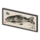 Carp x NA