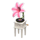 Pink x NA Pink x NA