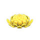 Yellow x NA