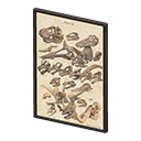 Framed Fossil Poster