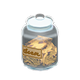 Cookies x Brown label