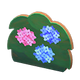 Hydrangea x NA Hydrangea x NA