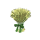 Spring blooming x NA