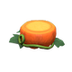 Orange x NA Orange x NA