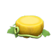 Yellow x NA