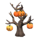 Orange x NA
