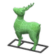 Green x NA Green x NA
