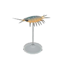 Wharf Roach Model Animal Crossing New Horizons | ACNH Critter - ACNHMALL