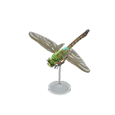 Darner Dragonfly Model Animal Crossing New Horizons | ACNH Critter - ACNHMALL
