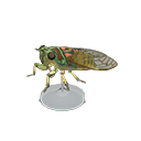 Evening Cicada Model Animal Crossing New Horizons | ACNH Critter - ACNHMALL