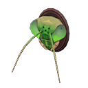 Mantis-Head Model