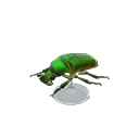 Drone Beetle Model Animal Crossing New Horizons | ACNH Critter - ACNHMALL