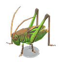 Grasshopper Model Animal Crossing New Horizons | ACNH Critter - ACNHMALL
