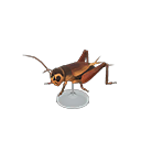 Cricket Model Animal Crossing New Horizons | ACNH Critter - ACNHMALL