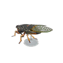 Giant Cicada Model Animal Crossing New Horizons | ACNH Critter - ACNHMALL