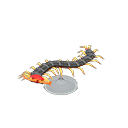 Centipede Model Animal Crossing New Horizons | ACNH Critter - ACNHMALL
