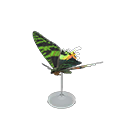 M. Sunset Moth Model Animal Crossing New Horizons | ACNH Critter - ACNHMALL
