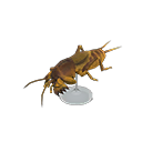 Mole Cricket Model Animal Crossing New Horizons | ACNH Critter - ACNHMALL