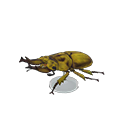 Golden Stag Model Animal Crossing New Horizons | ACNH Critter - ACNHMALL
