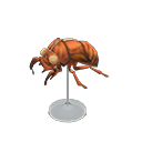 Cicada Shell Model Animal Crossing New Horizons | ACNH Critter - ACNHMALL