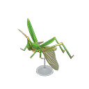 Long Locust Model Animal Crossing New Horizons | ACNH Critter - ACNHMALL