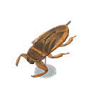 Giant Water Bug Model Animal Crossing New Horizons | ACNH Critter - ACNHMALL
