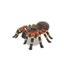 Tarantula Model Animal Crossing New Horizons | ACNH Critter - ACNHMALL