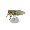 Walker Cicada Model Animal Crossing New Horizons | ACNH Critter - ACNHMALL