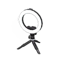 Ring Light Animal Crossing New Horizons | ACNH Critter - ACNHMALL