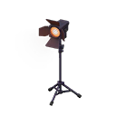 Studio Spotlight Animal Crossing New Horizons | ACNH Critter - ACNHMALL