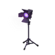 Purple x NA Purple x NA