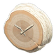 White birch x NA