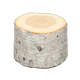 White birch x NA
