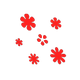 Flowers x NA Flowers x NA