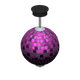 Purple x NA