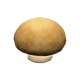 Ordinary mushroom x NA Ordinary mushroom x NA