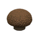 Strange mushroom x NA Strange mushroom x NA