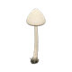 White mushroom x NA