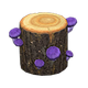 Strange mushroom x NA