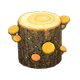 Yellow mushroom x NA