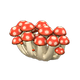 Red mushroom x NA Red mushroom x NA