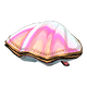 Pearlescent pink x NA Pearlescent pink x NA