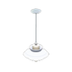 White x NA