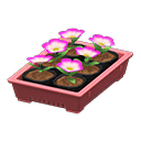 Potted Starter Plants Animal Crossing New Horizons | ACNH Critter - ACNHMALL