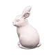 Ivory x NA
