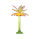 Tropical x NA