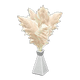 White x NA