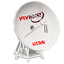 Parabolic Antenna Animal Crossing New Horizons | ACNH Critter - ACNHMALL