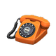 Orange x NA